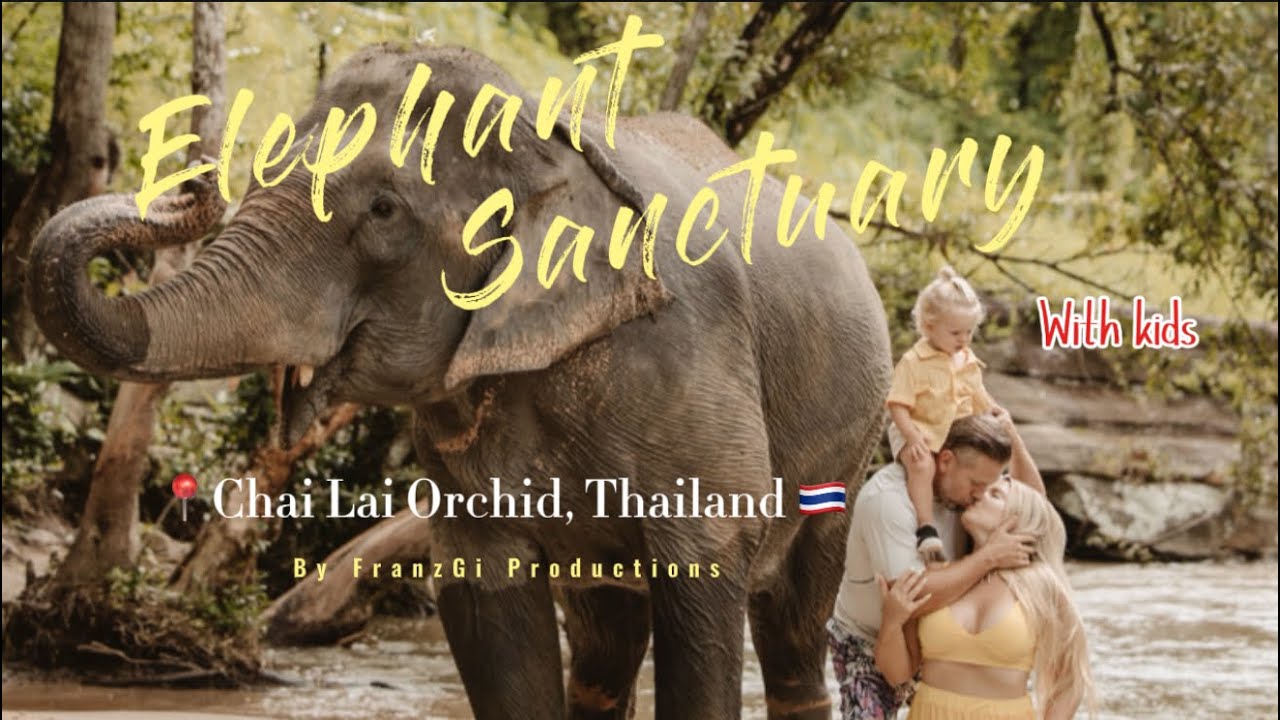 Santuario de Elefantes CHAI LAI ORQUID | Chiang Mai 🐘💚 | ✈️ Viajamos con un bebé +24hs a Tailandia 
