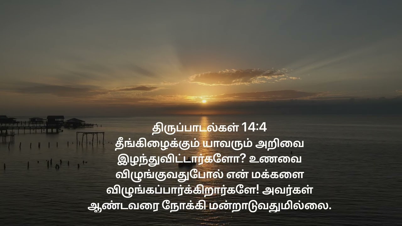 திருப்பாடல்கள் 14