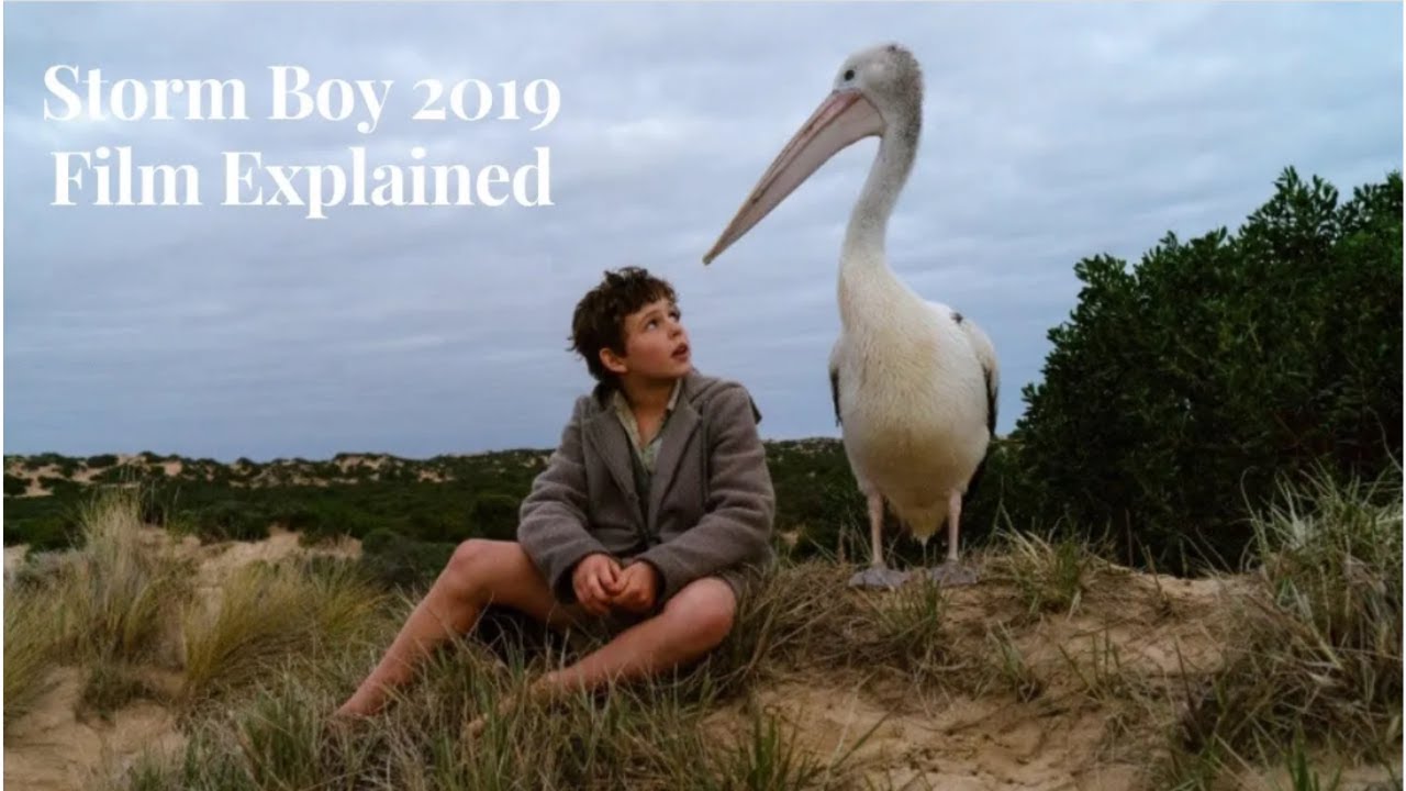 Storm Boy (2019) Film Explained In Hindi/Urdu