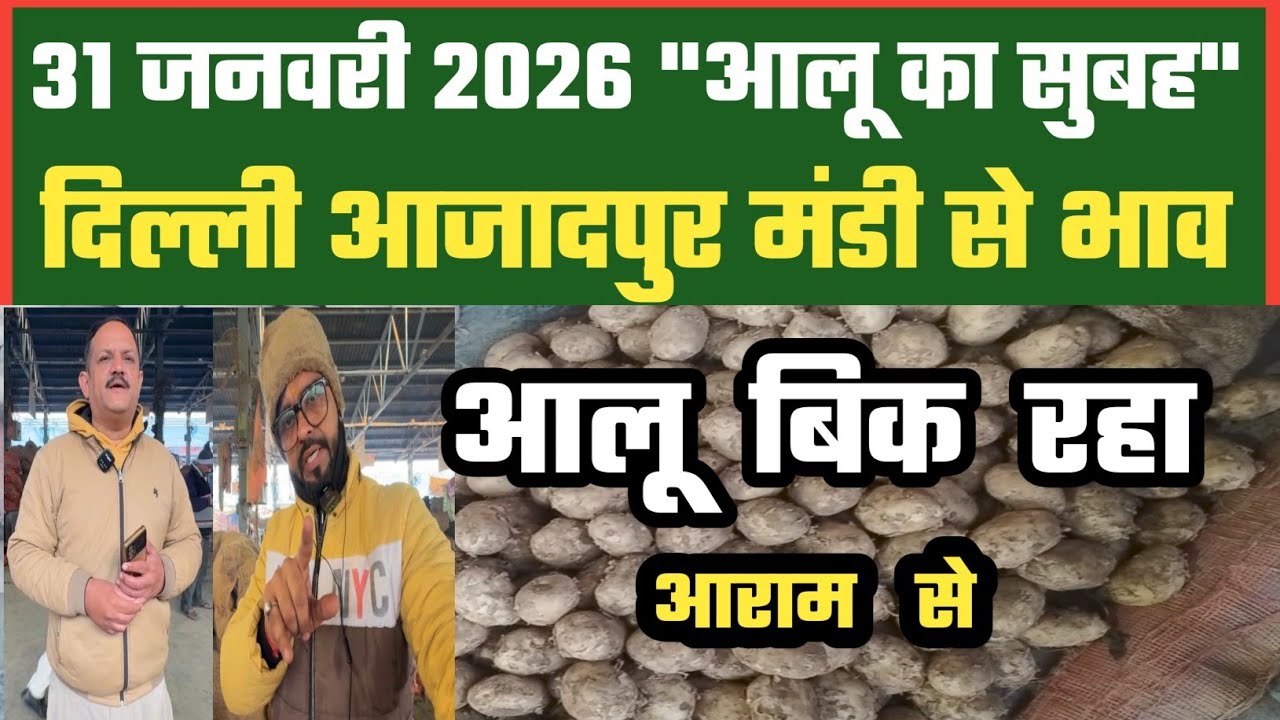 आलू की ग्राहकी अच्छी, Azadpur Delhi Mandi Today में 31-01-2026 के Potato Price DMT TV