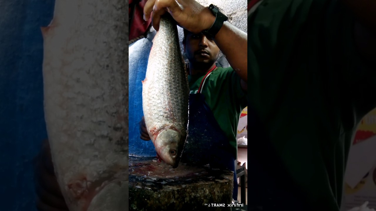 amazing rui fish cutting skills