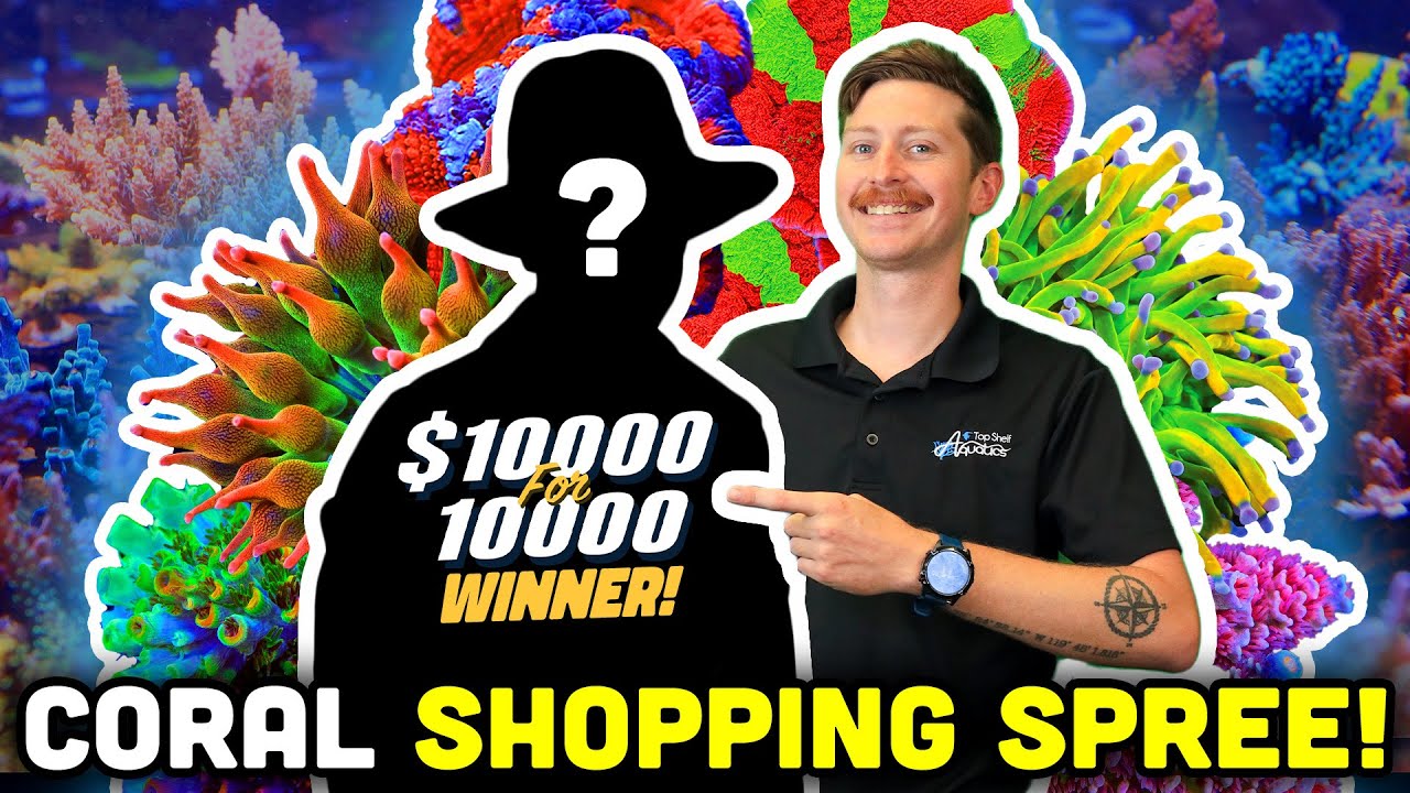$1000 SHOPPING SPREE at Top Shelf Aquatics! GRAND PRIZE Winner's Coral!
