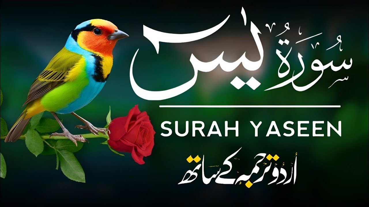 Surah Yaseen | Surah Yaseen With Urdu Translation | Al Furqan Studio | Ep095