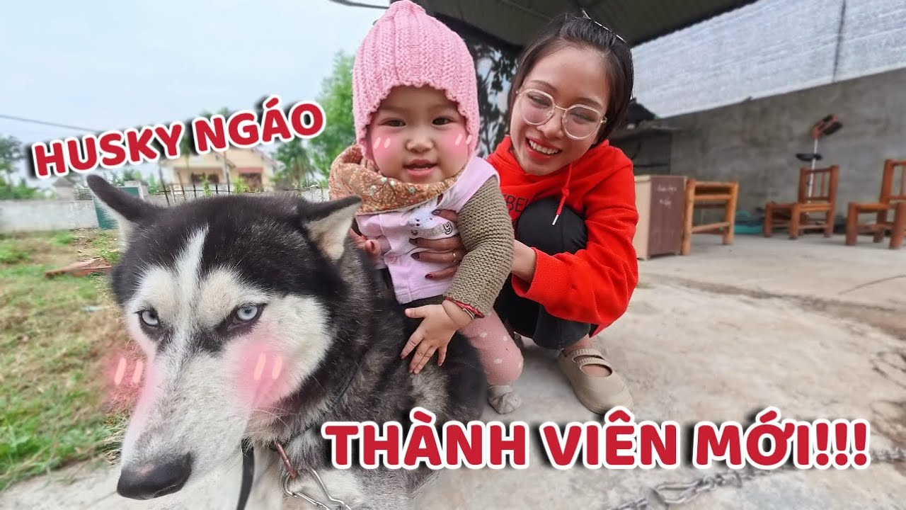 Em Bé Soju Bất Ngờ Khi Thấy Chó Sói Husky Ngáo Và Được Tặng Ô Tô Mới | Thảo Nhi Vlogs