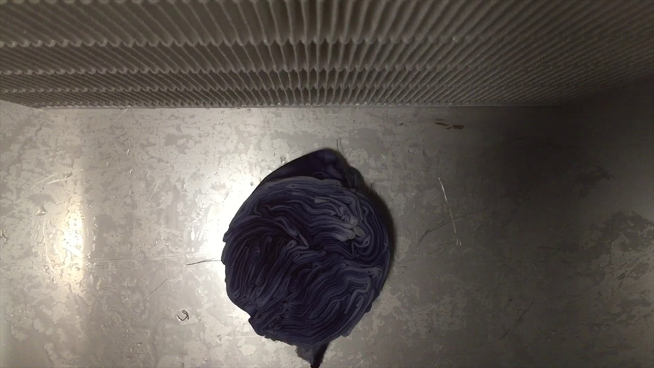 Bacteria Dye - work in process