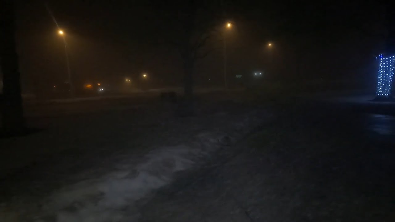 Trash Picking in the fog