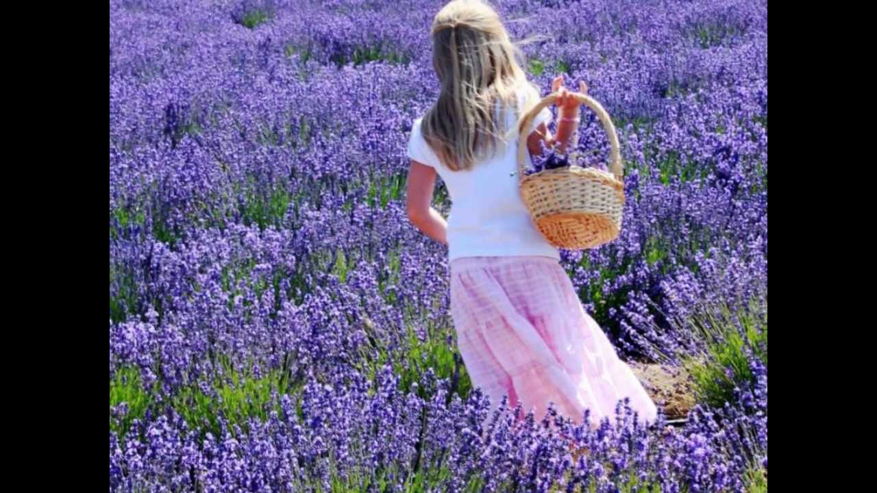 Lavender Hill - Brian Crain