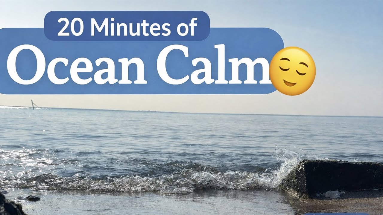 20 Minutes of Ocean Calm 🌊 Healing Wave Sounds | olivy 