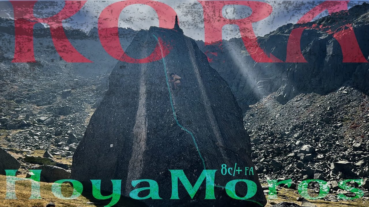KORA 8C/+ (FA) | HOYAMOROS