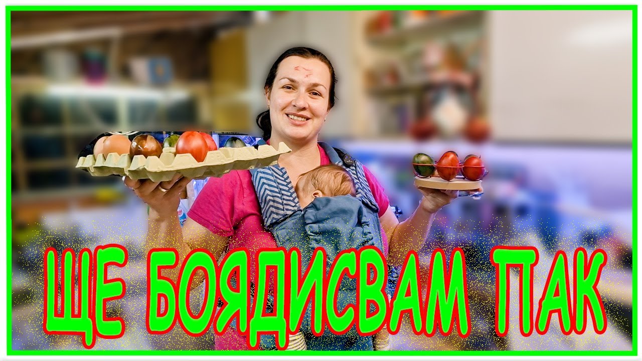Боядисахме яйцата! Какво се обърка? | Easter Egg Dyeing with Natural & Synthetic Colors Gone Wrong