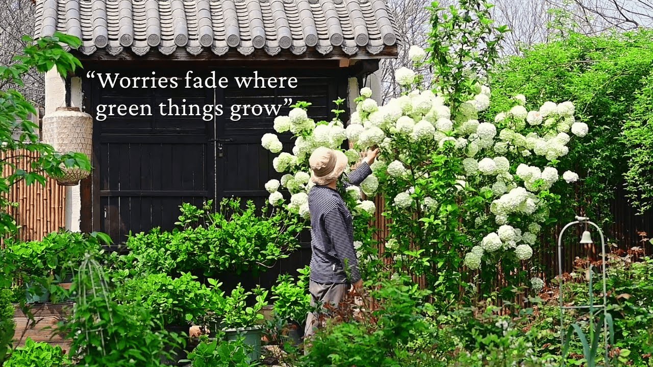 Worries fade where green things grow.../a playlist for quiet hours/
