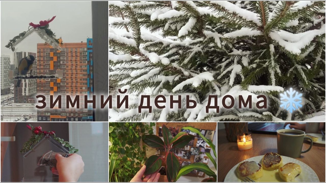 Уютный зимний день дома ❄ / первый снег, кормушка для птиц, пересадка растений