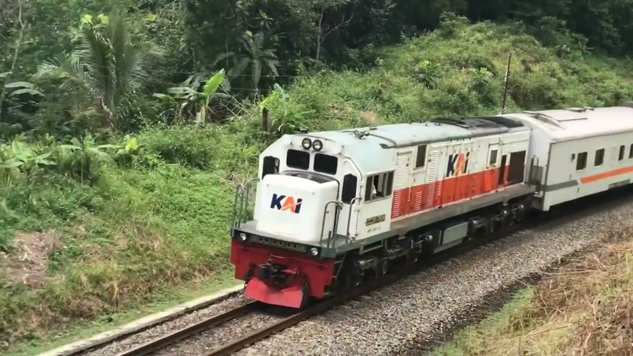 KERETA API PANJANG ‼️ MENEMUKAN 20 KERETA API NGEBUT DI TIKUNGAN