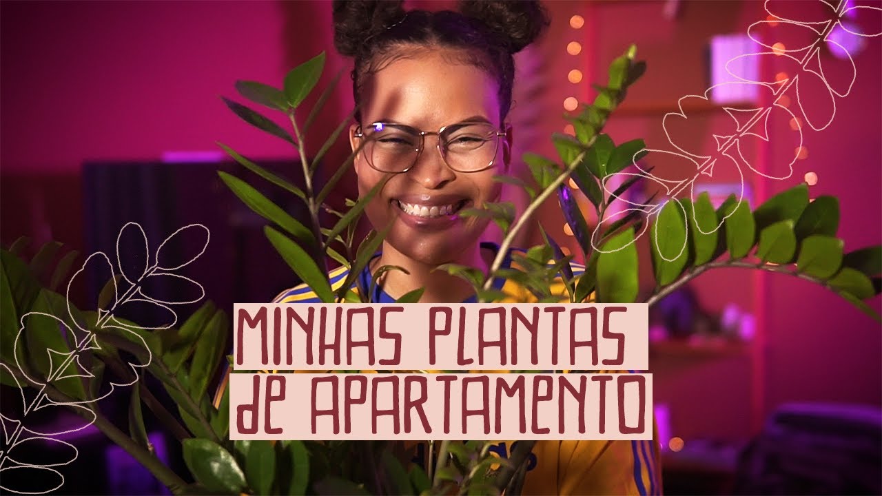 PLANTAS para cultivar DENTRO DE CASA
