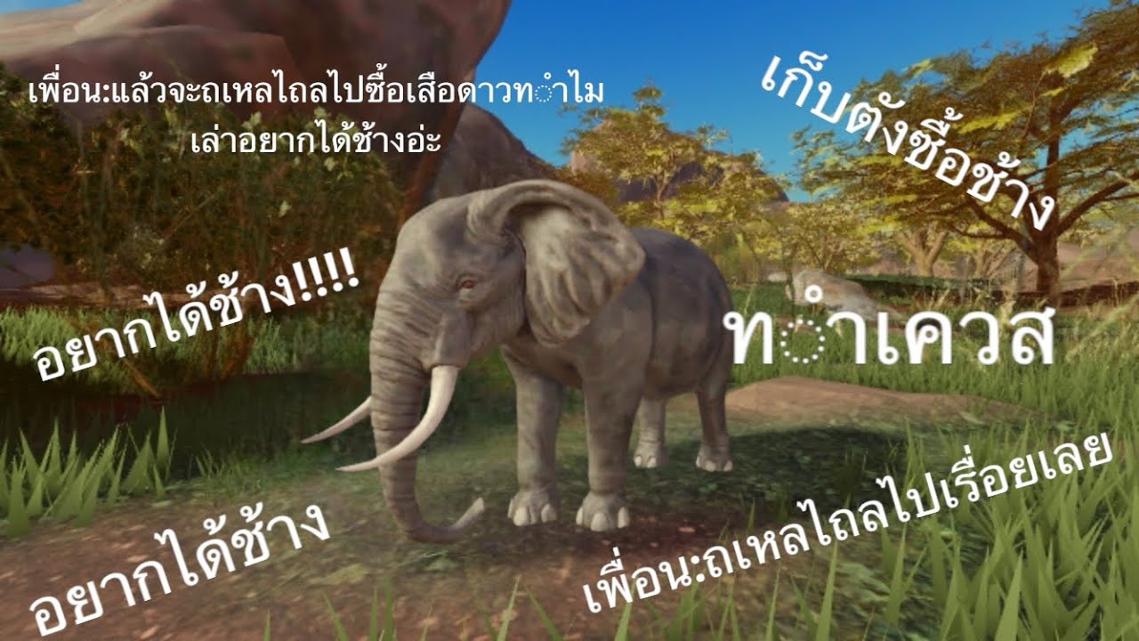 เก็บตังซื้อช้าง belike part3/จนกว่าจะได้ช้าง savannah life ep.6
