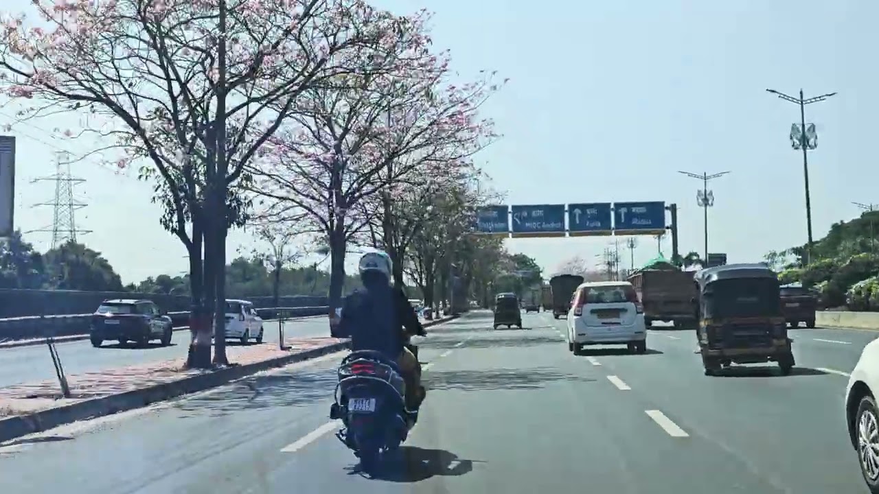 Mumbai Cherry blossom Hi way