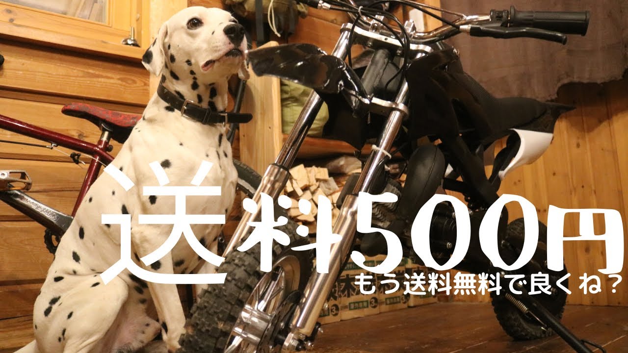 【Amazonのポケバイ】2万円代で買えるチャイナバイク！組み立てからオフロード走行まで⛰️