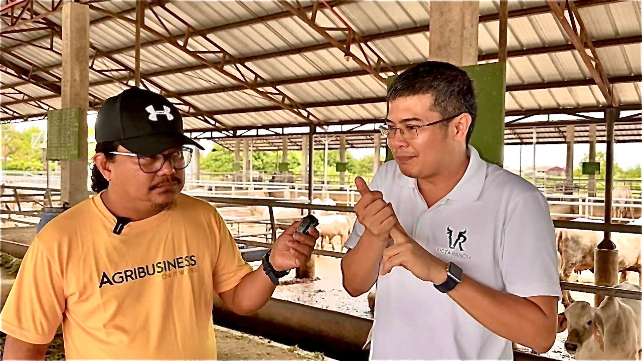 Rule #1 sa Cattle Farming: Mag Start ng Tama!
