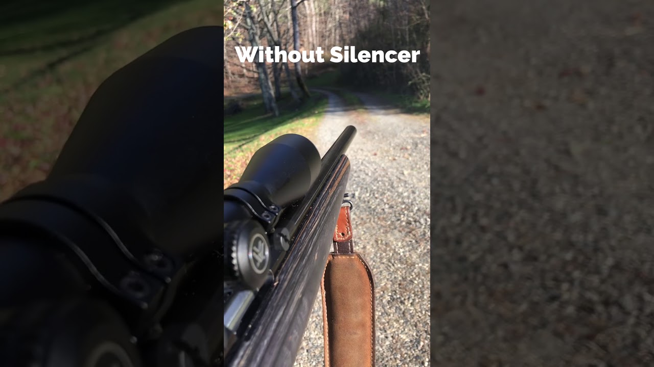 Liberty Regulator Suppressor