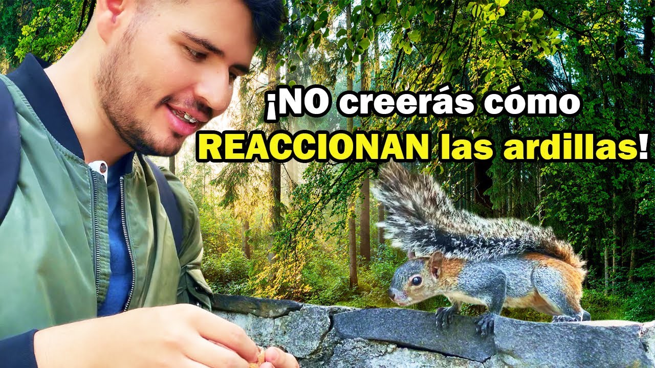 ¿Vale la pena ir al Bosque Los Colomos en Guadalajara? 🤔 Descúbrelo