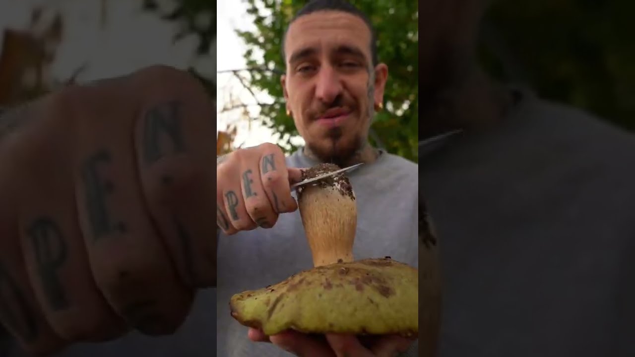 5 tips to forage mushrooms! #shorts