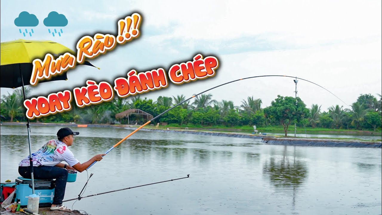 CÂU CÁ CHÉP DỊCH VỤ NGÀY MƯA | Cần Tay Guide Lục Mạch Thần Kiếm II 5.5H