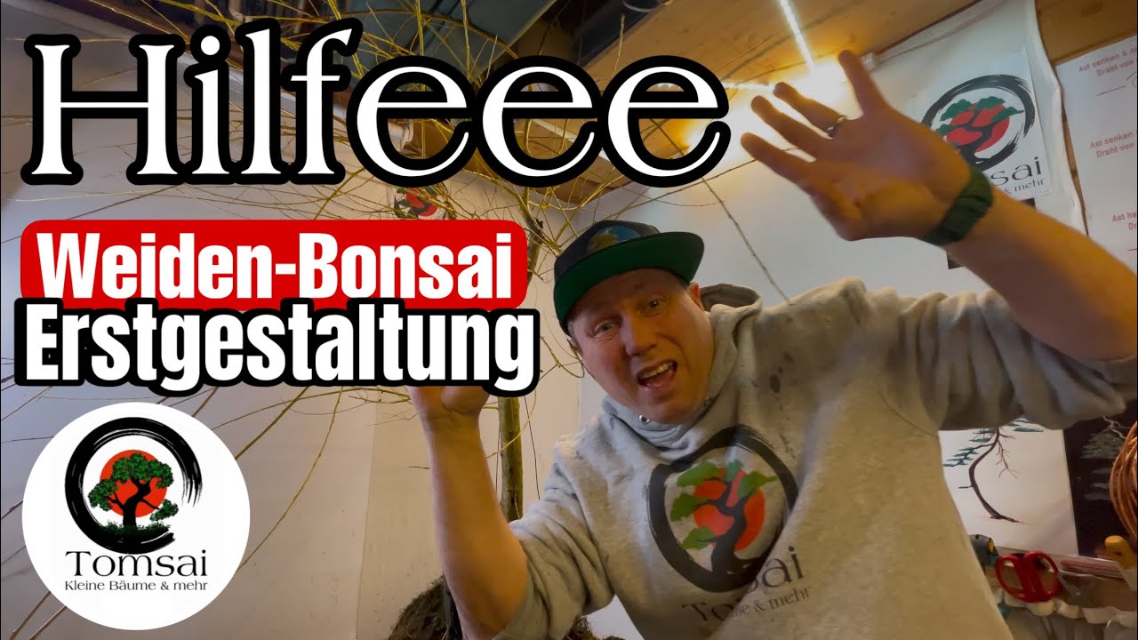 Weide Bonsai Erstgestaltung Bonsai 5/25