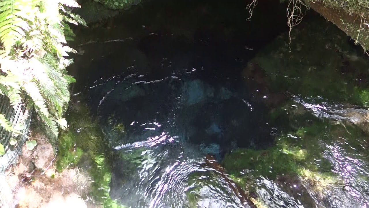 霧島ジオパーク・大出水の湧水（10分） Odemizu spring, Kirishima National Geopark, Japan (10 min.)