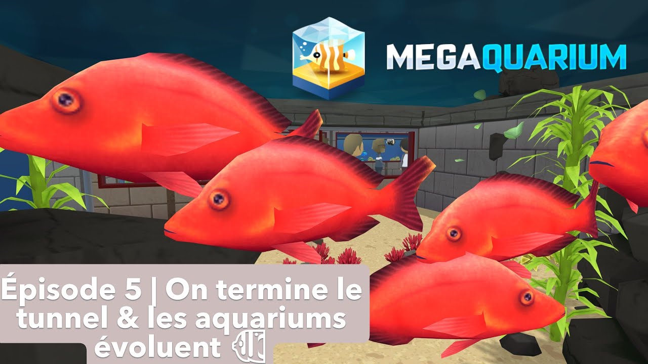 Megaquarium – Épisode 5 | On termine le tunnel & les aquariums évoluent 🐠
