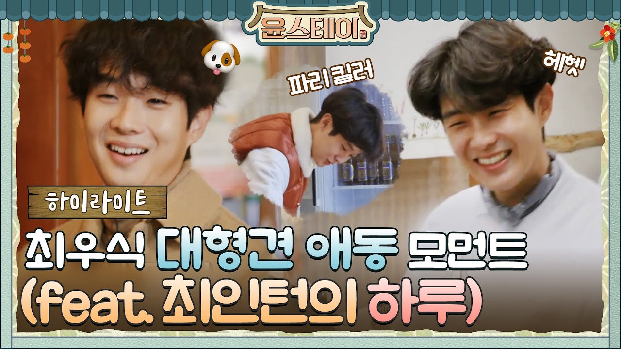 [하이라이트] 대형견 애동美 뿜뿜♥ 인턴 우시기의 윤스테이 첫 날!#윤스테이 | younstay EP.2