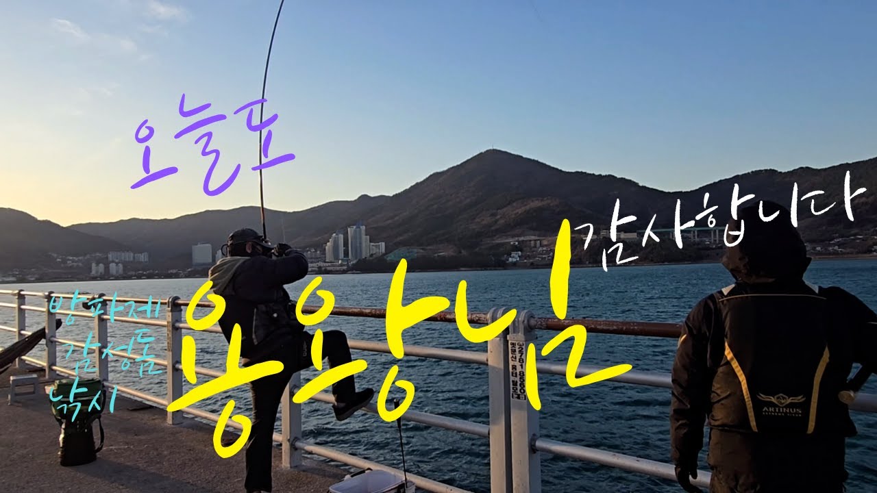 짬낚시에도 얼굴을 보여주는 거제 감성돔 방파제 낚시