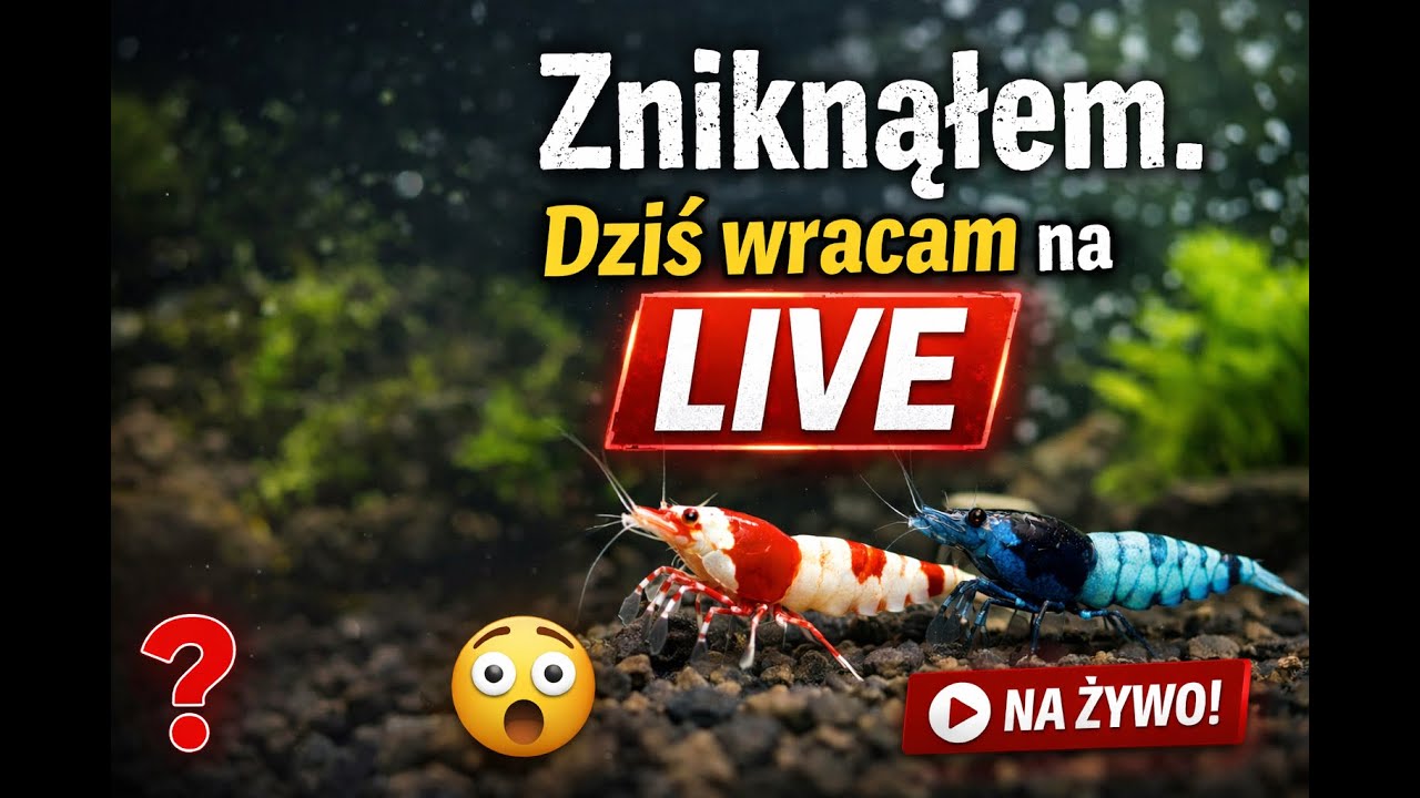 Zniknąłem. Dziś wracam na live