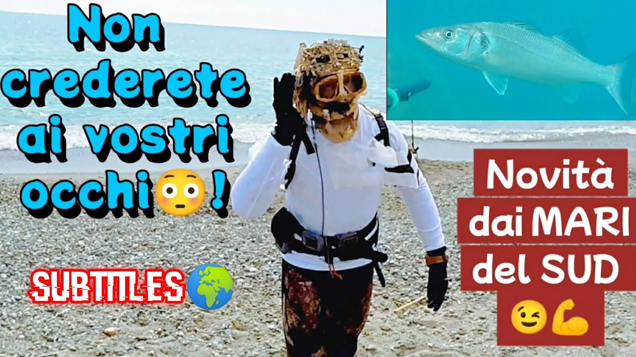 Подводная рыбалка в БЕЛОМ ГИДРОКОСТЮМЕ.. ВЫ НЕ ПОВЕРИТЕ СВОИМ ГЛАЗАМ😳!  - Подводная охота