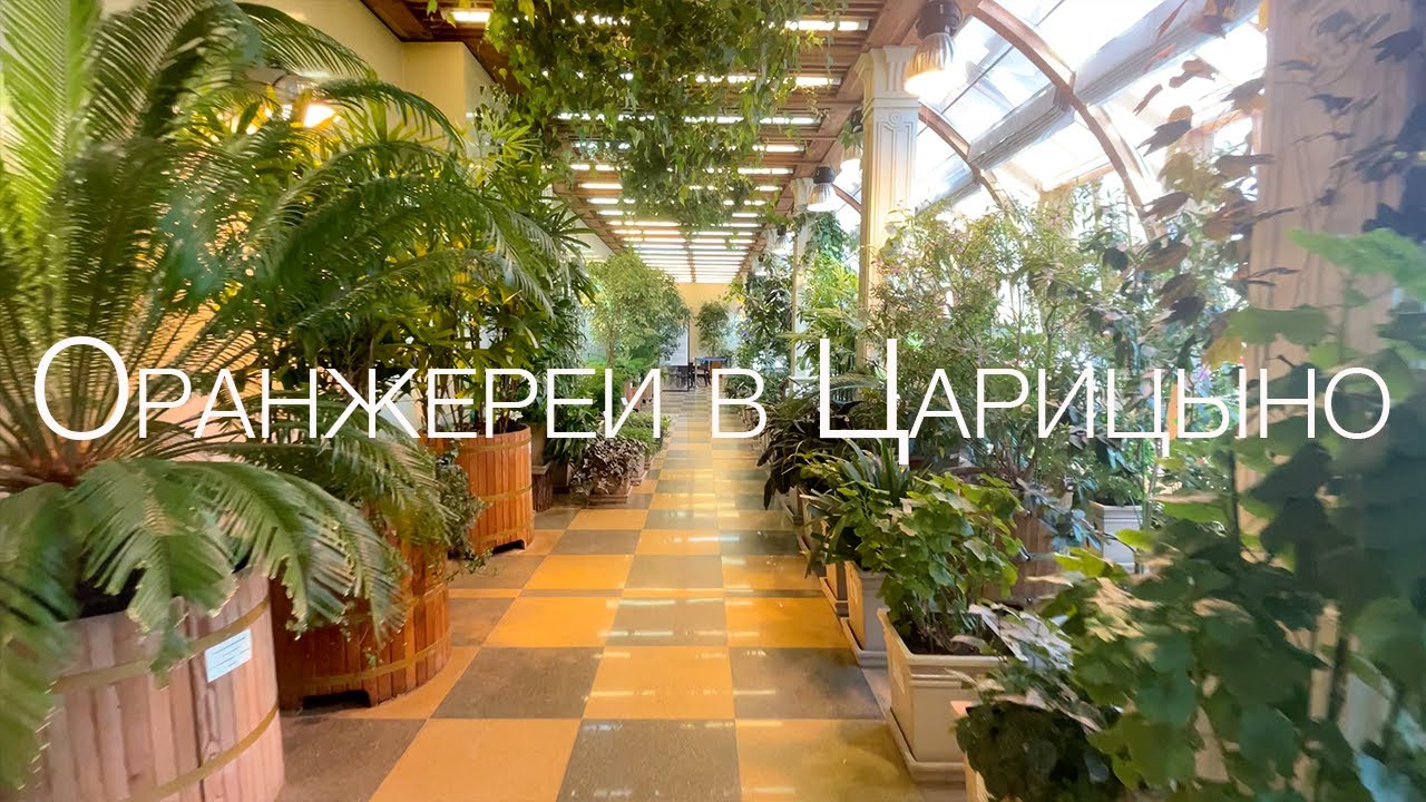Оранжереи в Царицыно (4K)