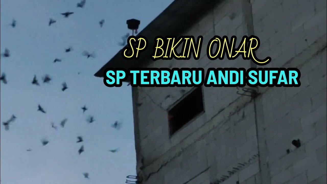 SP BIKIN ONAR ADALAH SUARA TERBARU ANDI SUFAR