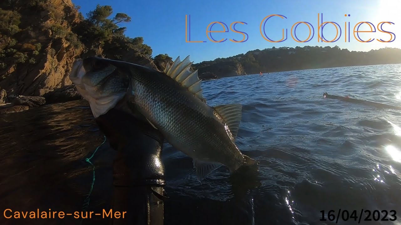 Chasse sous marine : Sortie entre amis à Cavalaire-sur-Mer #5