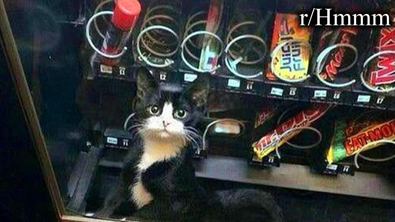 images that raise more questions than answers