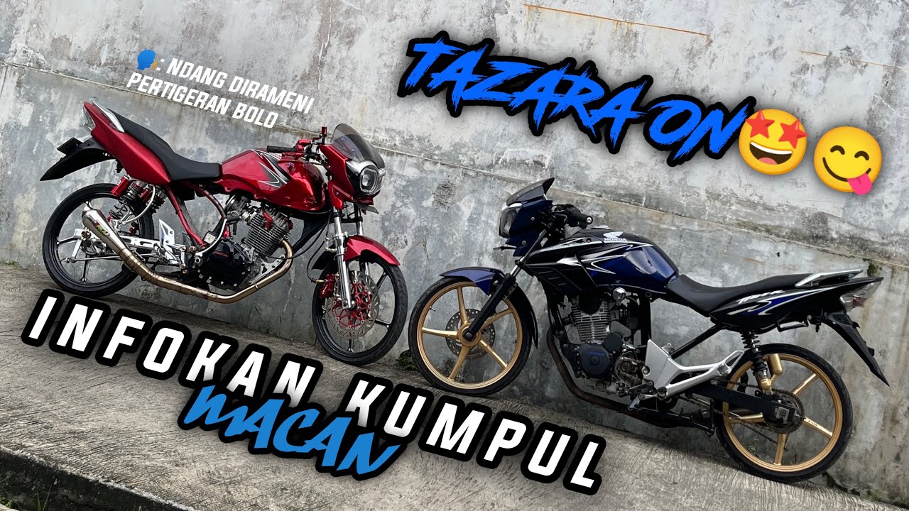 TAZARA ONN😋‼️, INFOKAN NYORE PERTIGERAN GAS NDANG DO COMBACK‼️🤩😋