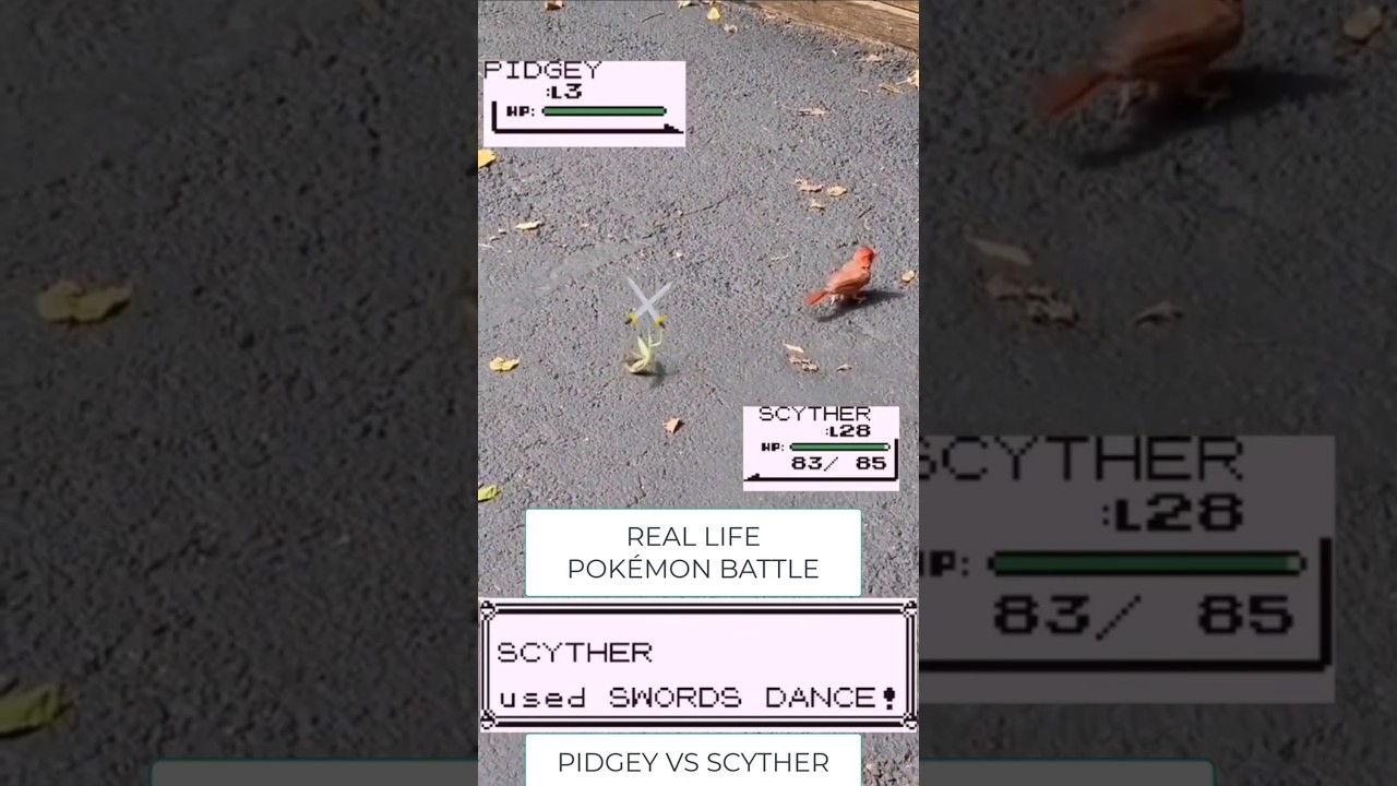 Real Life Pokemon Battle! *SCYTHER VS PIDGEY* Super Realistic Augmented Reality AR Mode