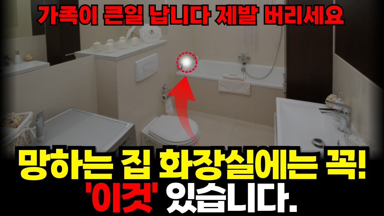 이것 화장실에 있으면 망하는 지름길입니다ㅣ돈복 쏟아지는 화장실 풍수인테리어 총정리ㅣ풍수비법
