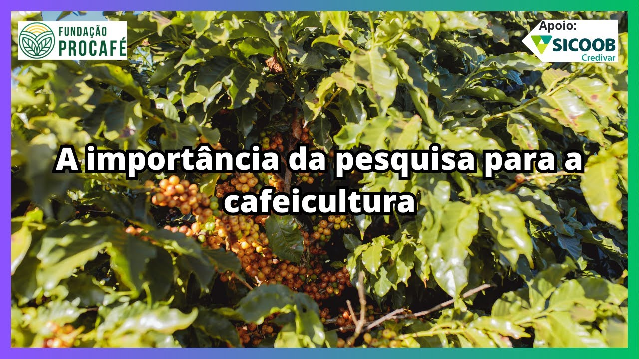 Podcast #206 - A importância da pesquisa para a cafeicultura