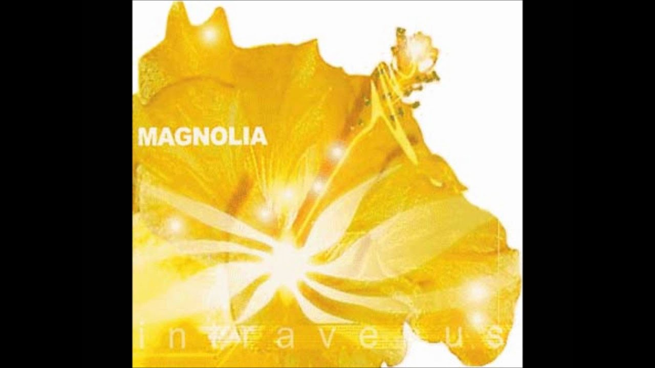 Magnolia - Queen