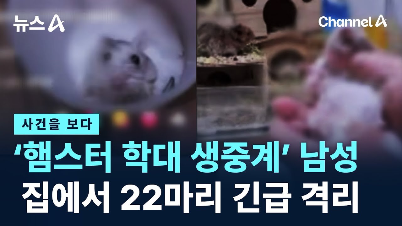 [사건을 보다]‘햄스터 학대 생중계’ 남성 집서 동물 22마리 긴급 격리 / 채널A / 뉴스A