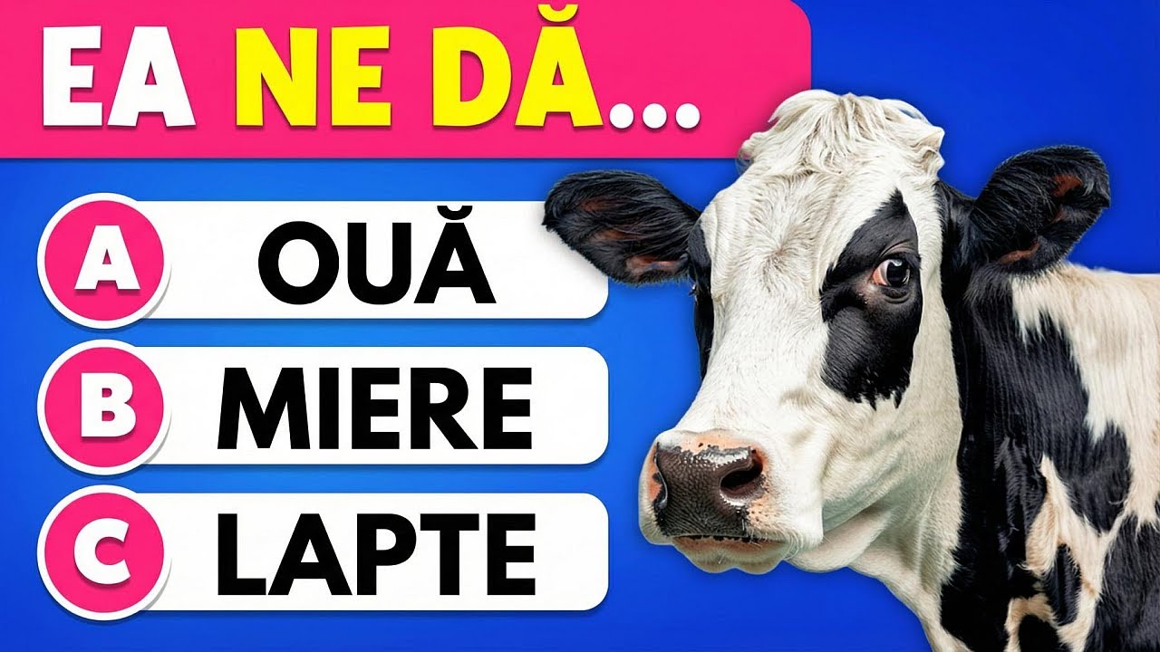 60 De Întrebări De Cultură Generală 🎒📚✅ | Ești Mai Deștept Decât Un Elev De Clasa a V-a?