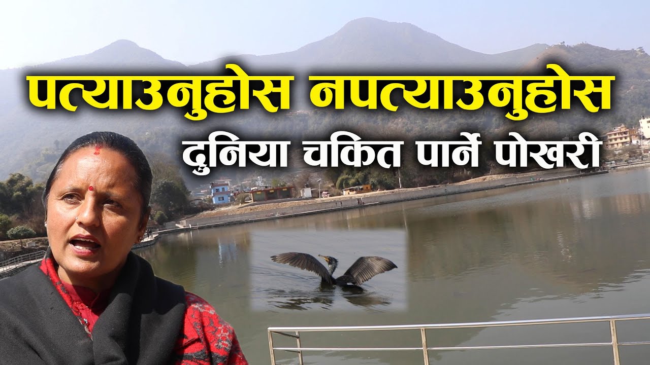 दुनिया चकित पार्ने एक कोदाली खन्दा बनेको डाडा र पोखरीको रहस्य || Champa Devi Dada and Taudaha Story