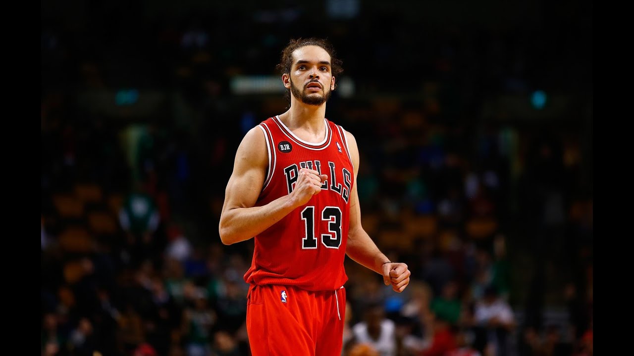 Joakim Noah Bulls 2015 Season Highlights