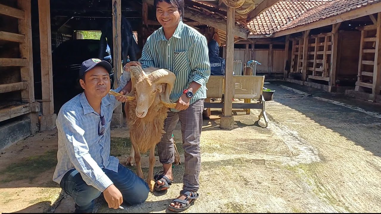 PENGIRIMAN SI LION KE CABANGBUNGIN BEKASI