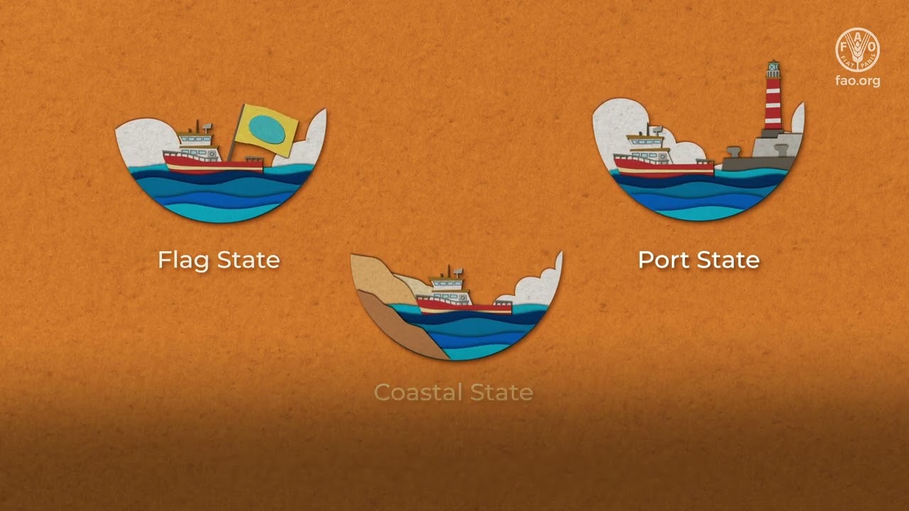 Implementing the Voluntary Guidelines for Transshipment