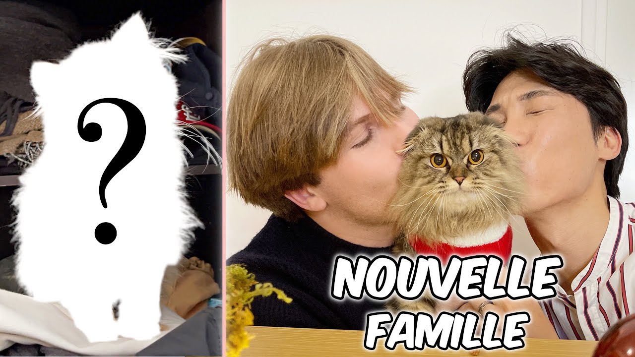 [🇰🇷&🇫🇷] UN NOUVEAU MEMBRE DANS LA FAMILLE😱