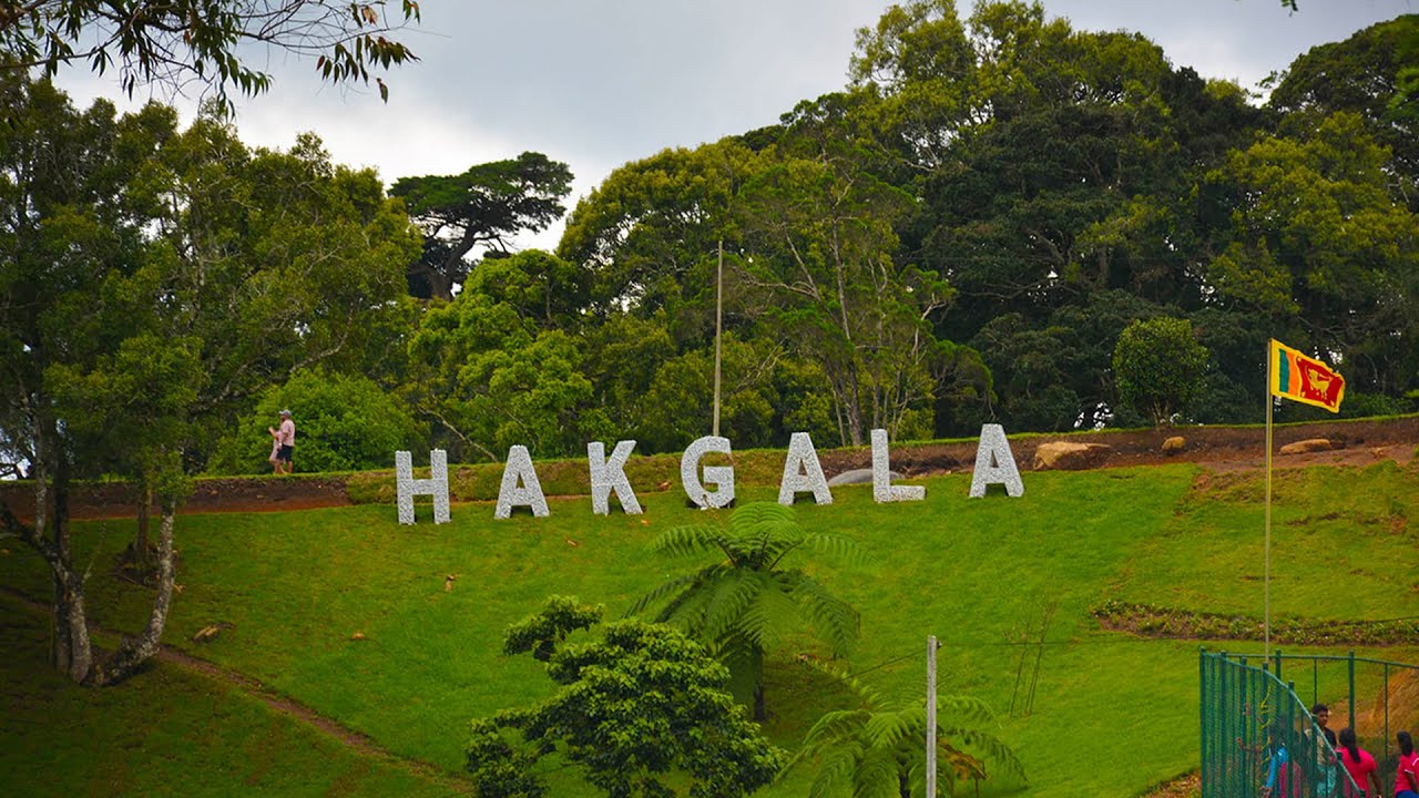 Hakgala is a Best Botanical Garden In Sri Lanka (Nuwara Eliya)